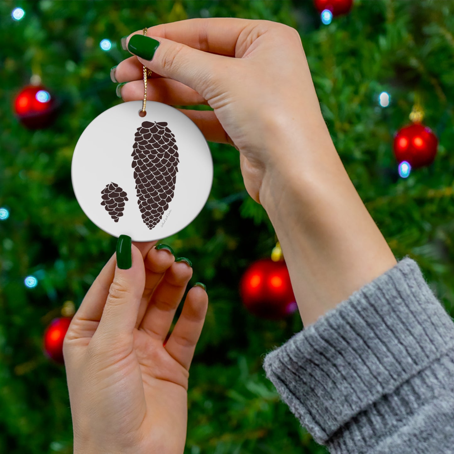 A Holiday Ornament - Nurture and Release Pinecone